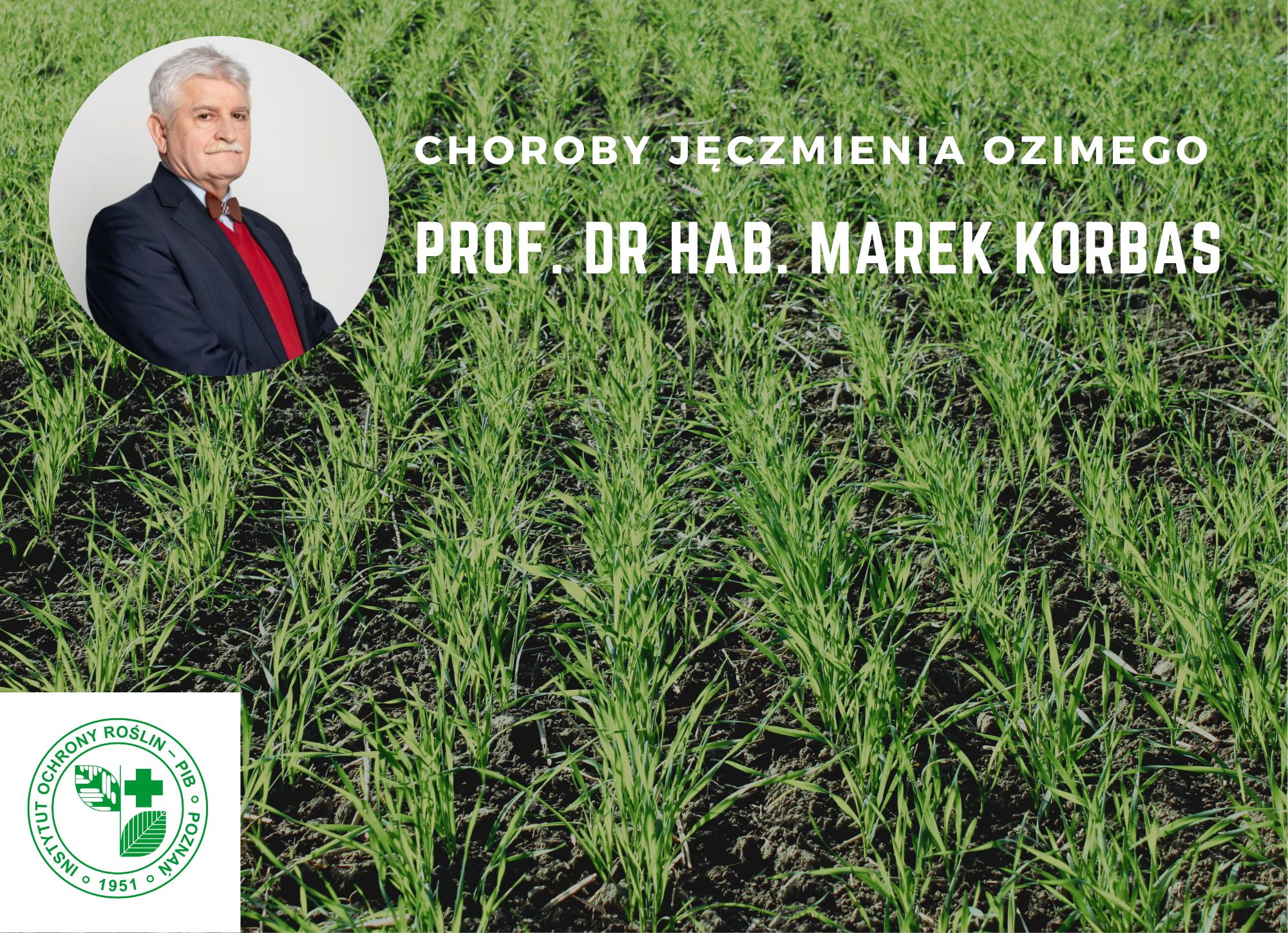 Prof. dr hab. Marek Korbas - relacja z plantacji jęczmienia ozimego